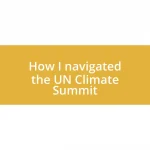 How I navigated the UN Climate Summit